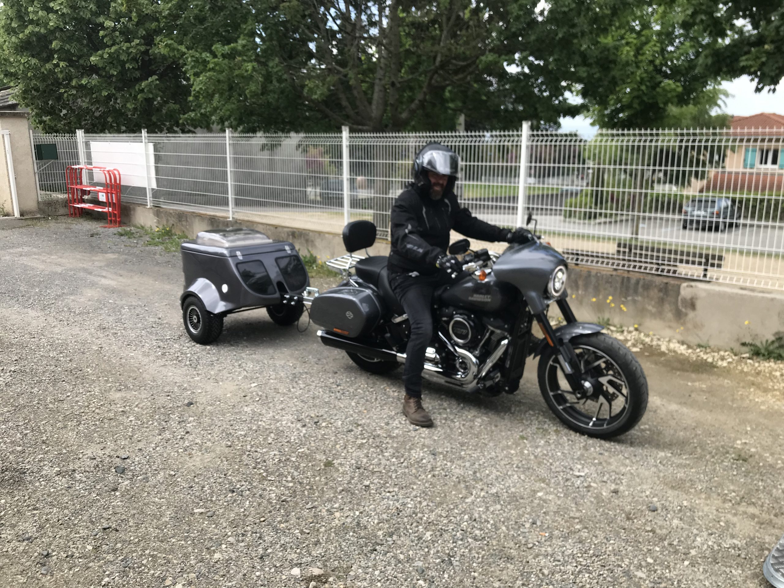Remorque chien Harley